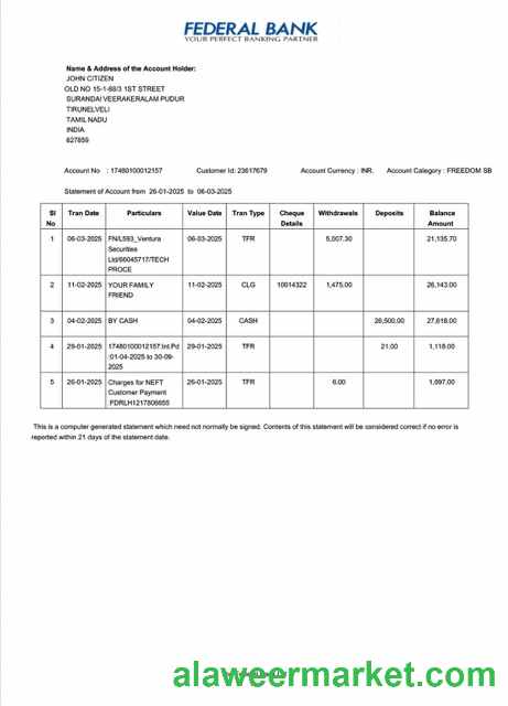 India Federal Bank statement of account Word and PDF template, version 2